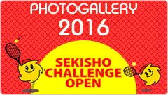 photogallery2016