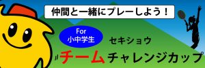 チームチャレンジカップ